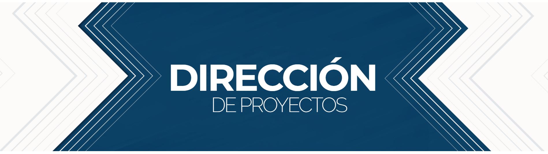 DIRECCION DE PROYECTOS
