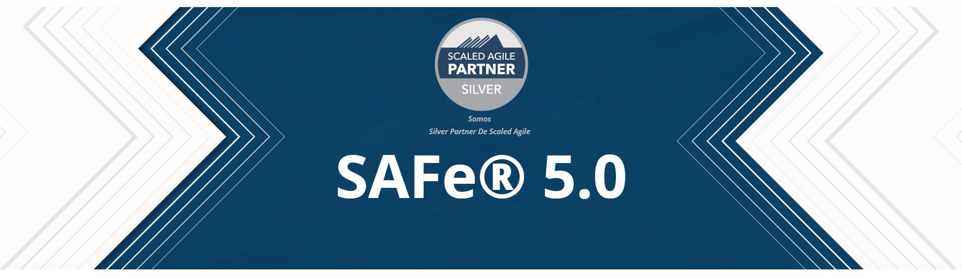 SAFE 5.0 SILVER